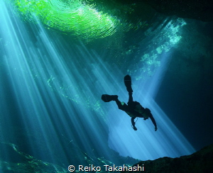 I dived for the first time in Cenote. Although I had divi... by Reiko Takahashi 
